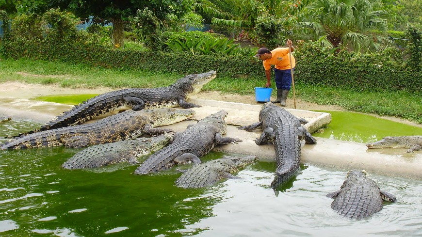 Langkawy