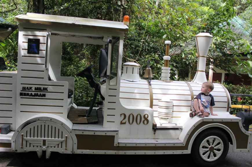 محمية لوك كاوي البرية في ولاية صباح بماليزيا محمية لوك كاوي البرية في ولاية صباح بماليزيا