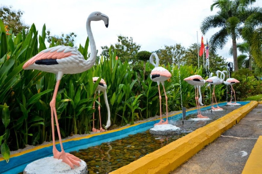 حديقة الحيوان والطيور في لنكاوي بماليزيا