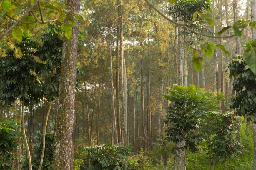 InterContinental Hotel Bandung Indonesia