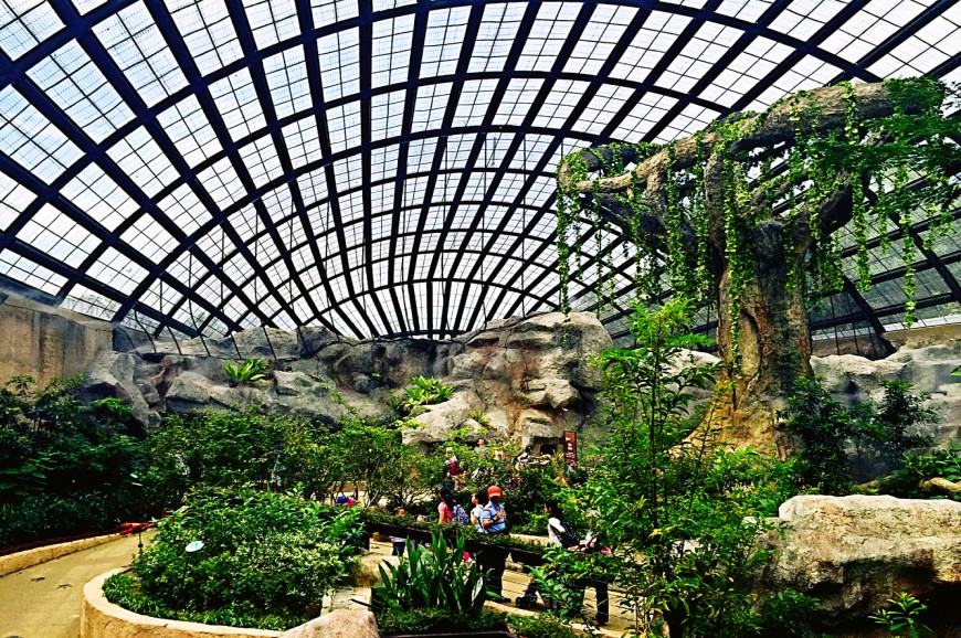 حديقة الفراشات بينانج ماليزيا