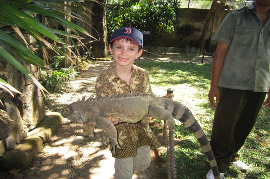 حديقة الزواحف في بالي اندونيسيا حديقة الزواحف في بالي اندونيسيا