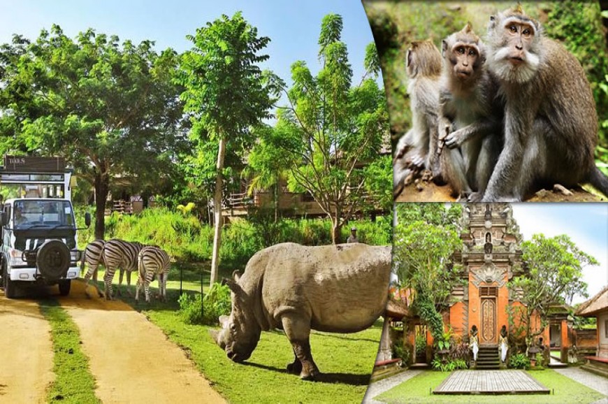 حديقة الحيوان بالي اندونيسيا