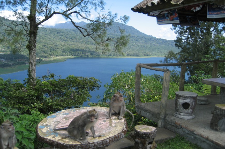 بحيرة بويان وتامبلنقان بالي اندونيسيا بحيرة بويان وتامبلنقان بالي اندونيسيا