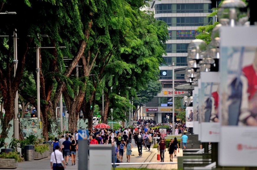 شارع أورتشارد سنغافورة, شارع البستان سنغافورة
