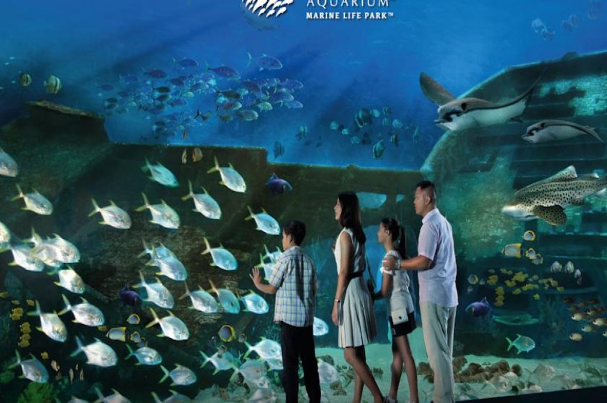 Equarius Hotel Sentosa Singapore
