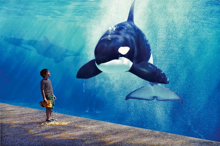 عالم البحار جاكرتا اندونيسيا عالم البحار جاكرتا اندونيسيا