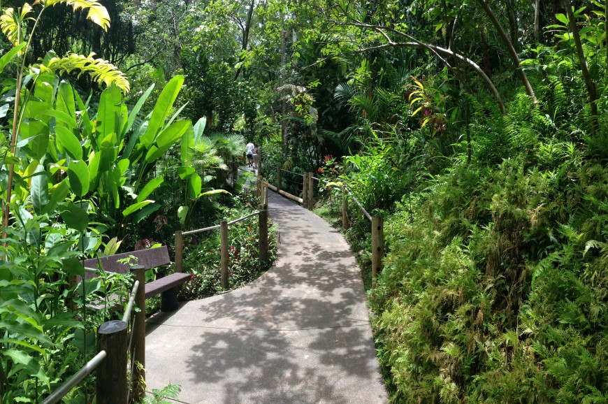 الحدائق الإستوائية سنغافورة