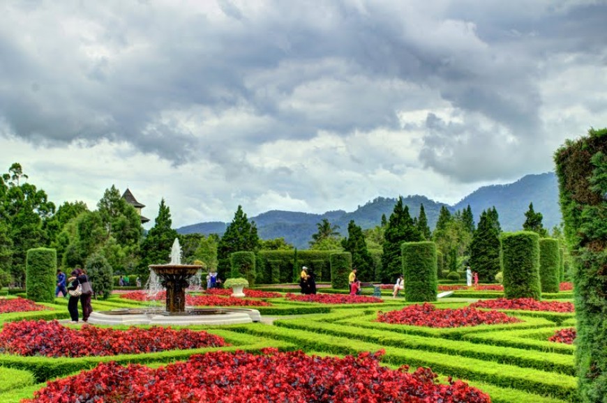 حديقة الزهور بونشاك اندونيسيا
