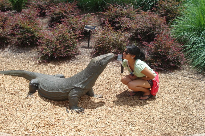 حديقة الزواحف في بالي اندونيسيا حديقة الزواحف في بالي اندونيسيا