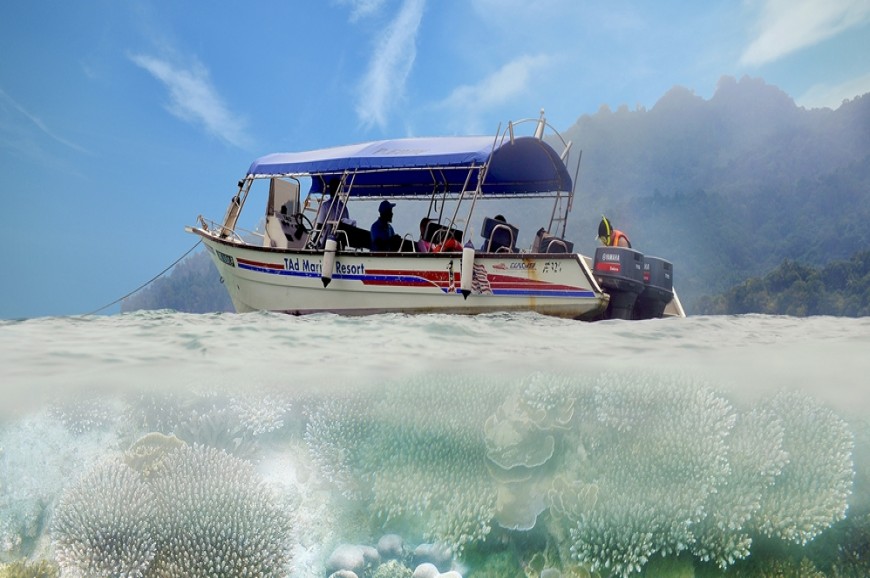 جزيرة سيبو جوهور ماليزيا جزيرة سيبو جوهور ماليزيا