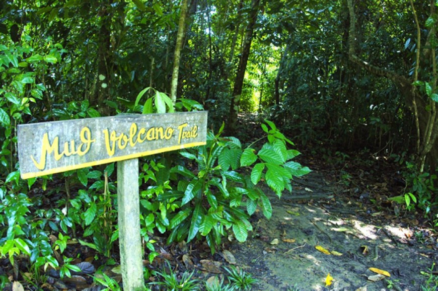 منتزه تيجا بارك في ولاية صباح ماليزيا منتزه تيجا بارك في ولاية صباح ماليزيا