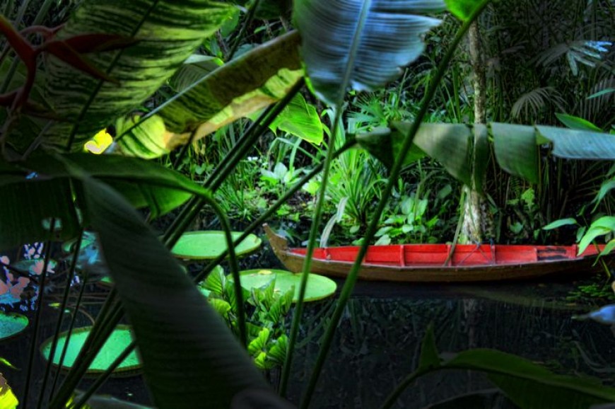حديقة النباتات والتوابل في بينانج بماليزيا