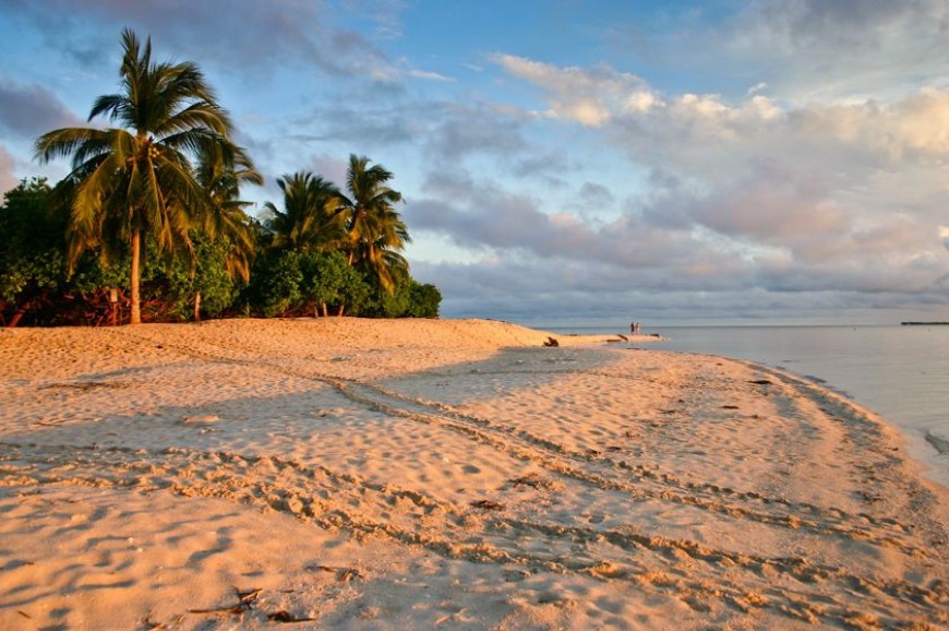 جزر السلاحف في ولاية صباح بماليزيا جزر السلاحف في ولاية صباح بماليزيا