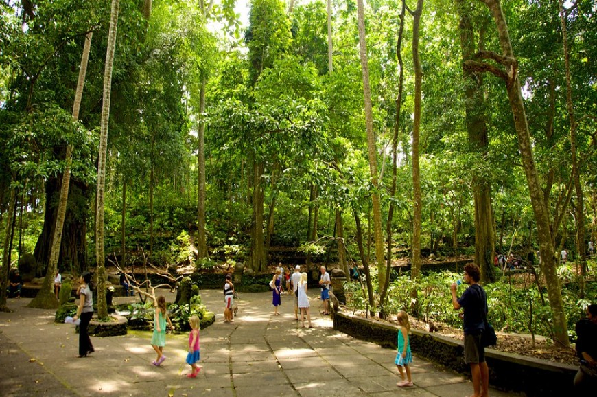 غابة أوبود للقرود بالي اندونيسيا