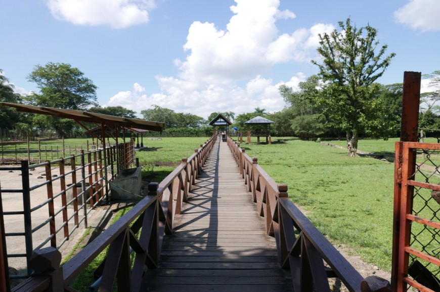 حديقة حيوان جوهور بماليزيا حديقة حيوان جوهور بماليزيا