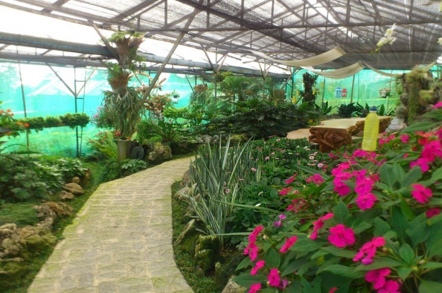 حديقة تامان ماتاهاري بونشاك اندونيسيا حديقة تامان ماتاهاري بونشاك اندونيسيا