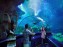 عالم تحت الماء اكورايا كوالالمبور بماليزيا