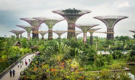 Gardens by the Bay Singapore