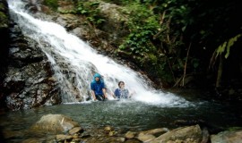 Waterfall Cameron Highland Malaysia