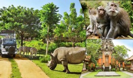حديقة الحيوان بالي اندونيسيا