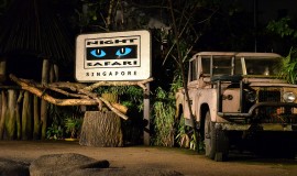 Night Safari Singapore
