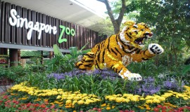 حديقة الحيوانات في سنغافورة