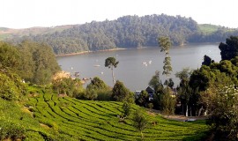 Patenggang Lake Bandung Indonesia