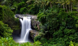 Munduk , Gitgit , Tegenungan , Campuhan and sing sing Waterfalls Bali Indonesia